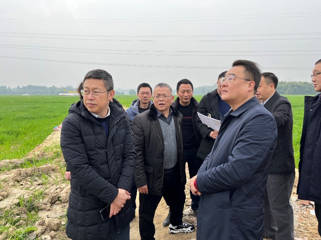省社、省供投集團(tuán)領(lǐng)導(dǎo)調(diào)研青白江區(qū)四川現(xiàn)代供銷種業(yè)園區(qū)