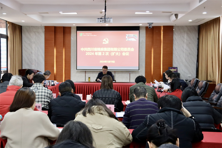 集團(tuán)公司召開2024年第2次黨委（擴(kuò)大）會議