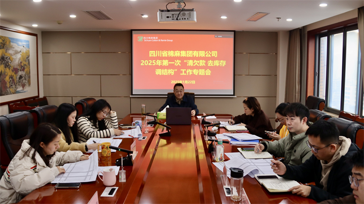 集團(tuán)公司召開2025年第一次“清欠款、去庫存、調(diào)結(jié)構(gòu)”工作專題會