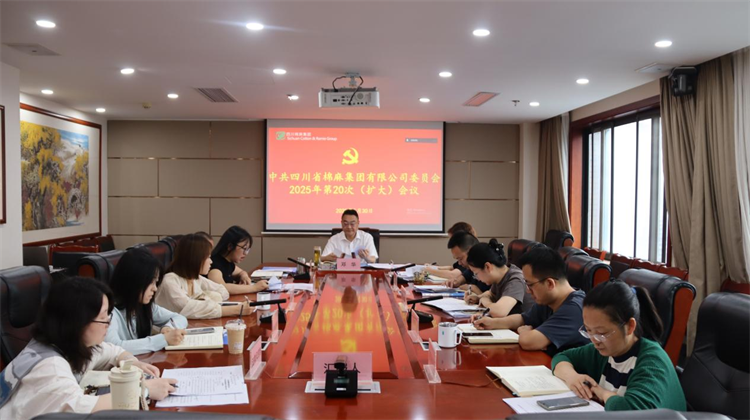 集團(tuán)公司召開2025年第20次黨委（擴(kuò)大）會議