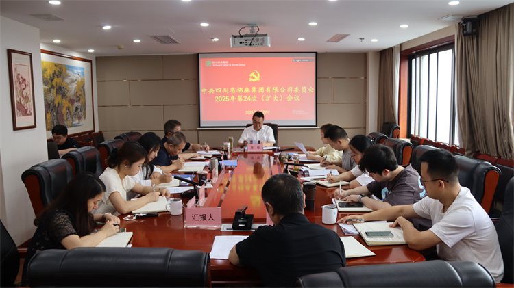 集團(tuán)公司召開2025年第24次黨委（擴(kuò)大）會議