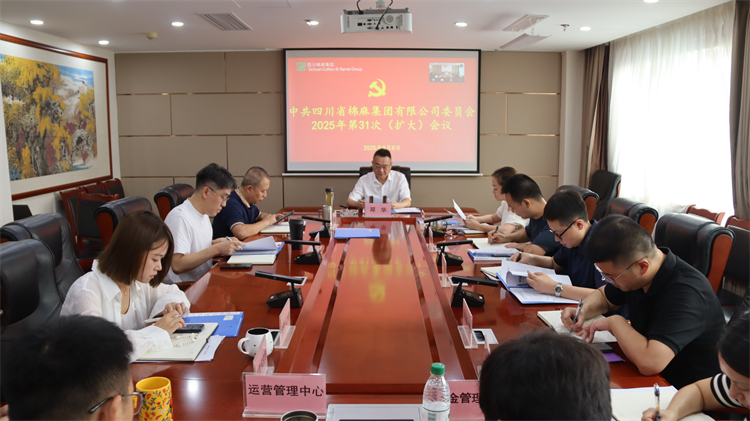 集團(tuán)公司召開2025年第31次黨委（擴(kuò)大）會(huì)議