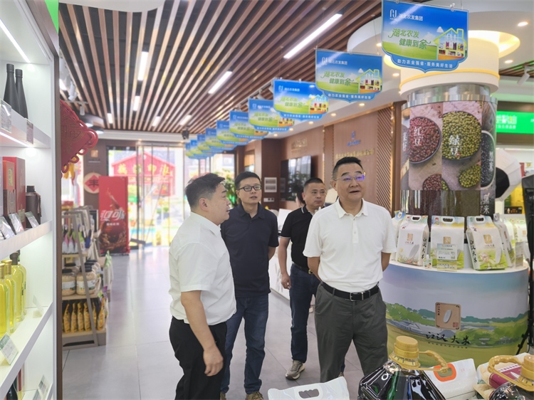 集團(tuán)公司赴湖北農(nóng)發(fā)銷售集團(tuán)考察交流