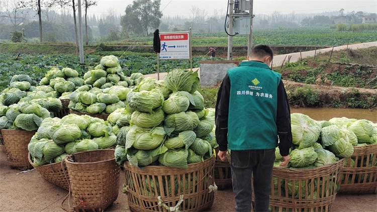 1669549477993991.jpg 圖片2.jpg