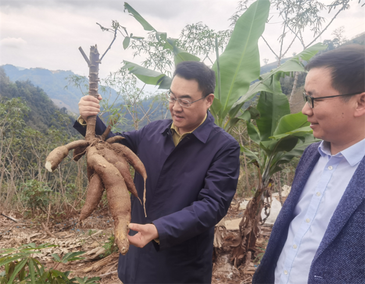 1711097872281889.jpg 圖片2.jpg